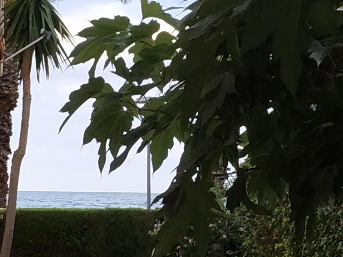 Miami Playa Apartament Del Mar מראה חיצוני תמונה