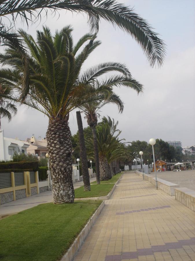 Miami Playa Apartament Del Mar מראה חיצוני תמונה